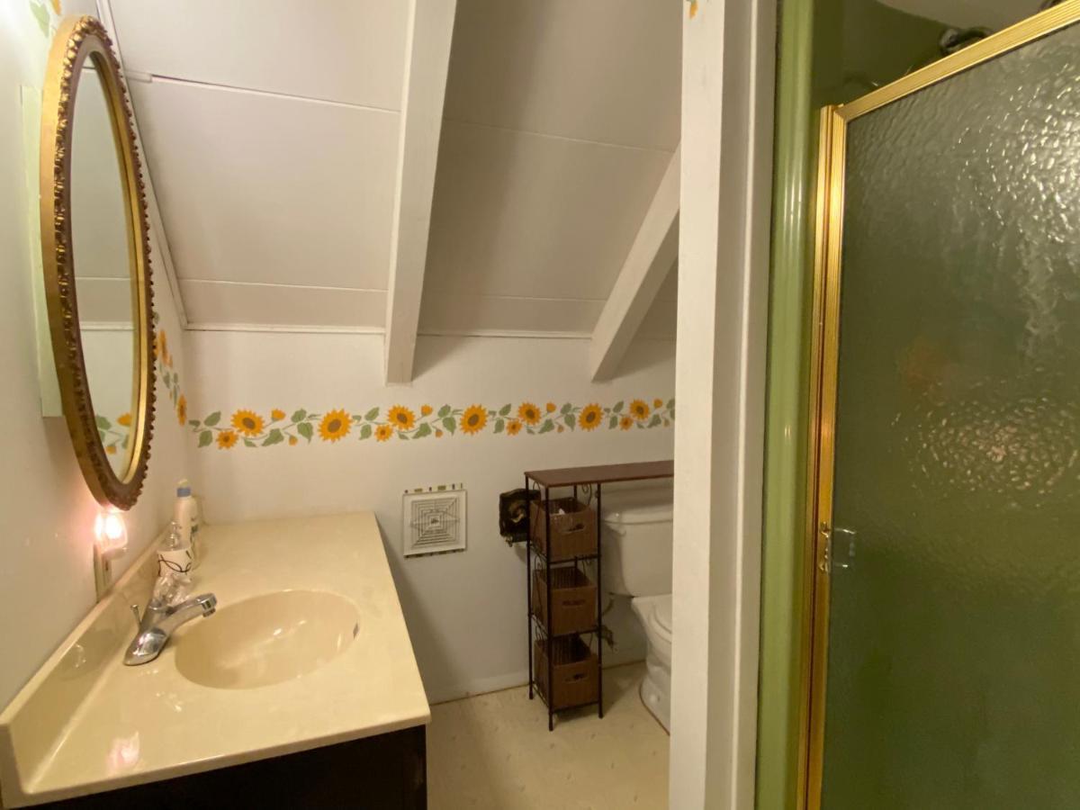Secluded Chalet On Stream-Mins To Camelback Tannersville Extérieur photo